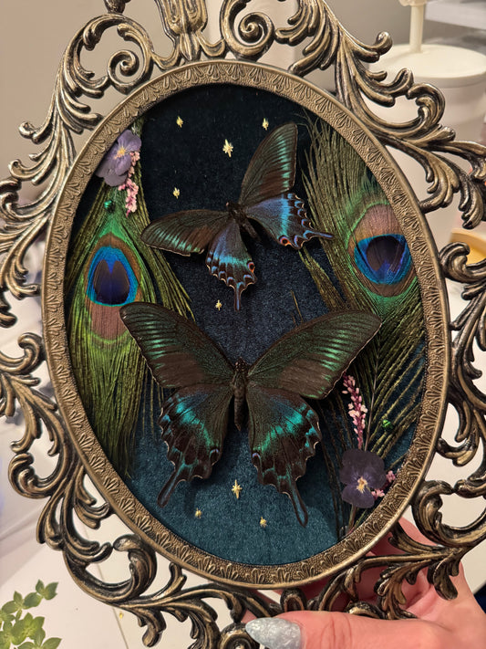 frame! - Shauna